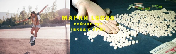 ПСИЛОЦИБИНОВЫЕ ГРИБЫ Алексеевка