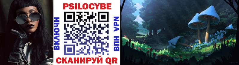 Псилоцибиновые грибы прущие грибы  blacksprut онион  Новозыбков  где можно купить  